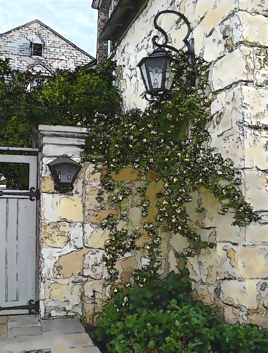 550x723 Pen And Inkwatercolor Tutorial Photo