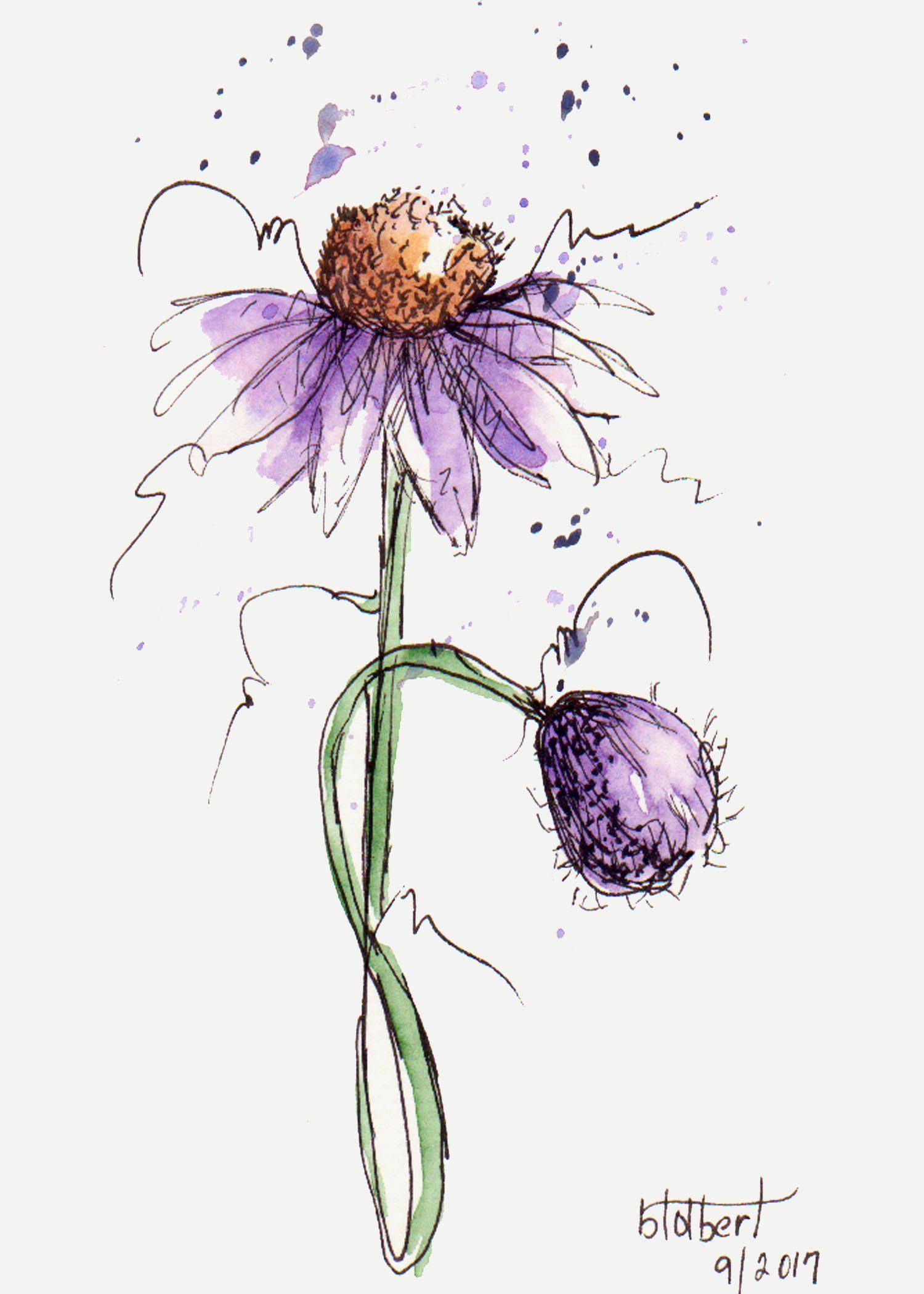 Pen and Ink Drawings with Watercolor Flowers | flowers-art-ideas.pages.dev