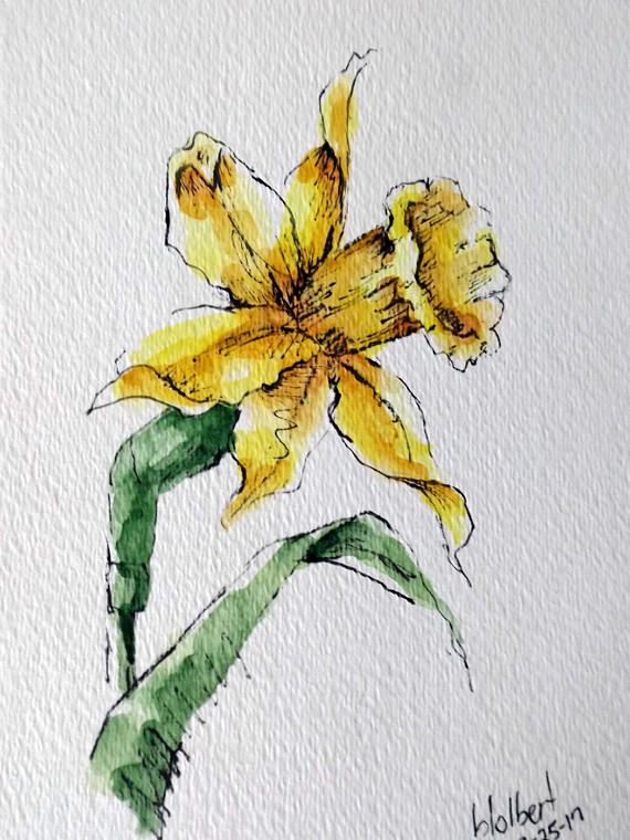 570x760 Daffodil Flower Original Art Watercolor Painting Pen And Ink