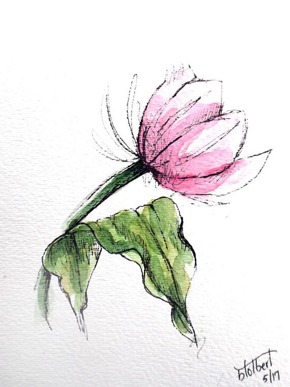 570x760 Tulip Flower Pink Original Art Watercolor Painting Pen And Ink