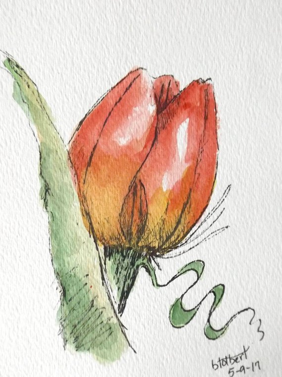 570x760 Tulip Flower Red Original Art Watercolor Painting Pen And Ink Etsy