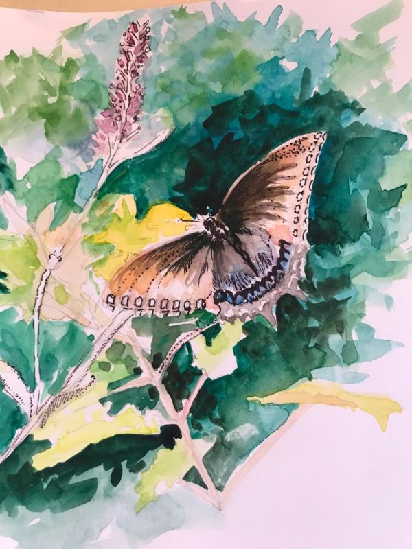 600x800 Pen And Ink Watercolor Miniatures Class Starts May 3