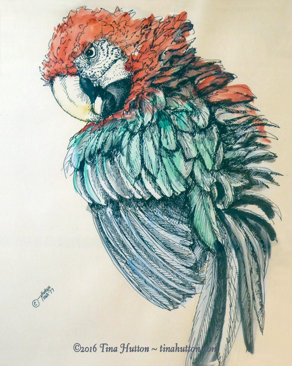 597x750 Curriculum Vitae Tina Hutton