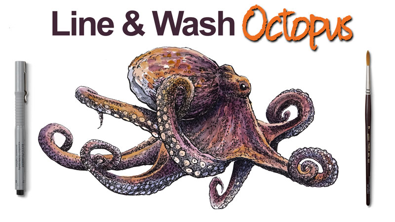 800x450 Line And Wash Lesson