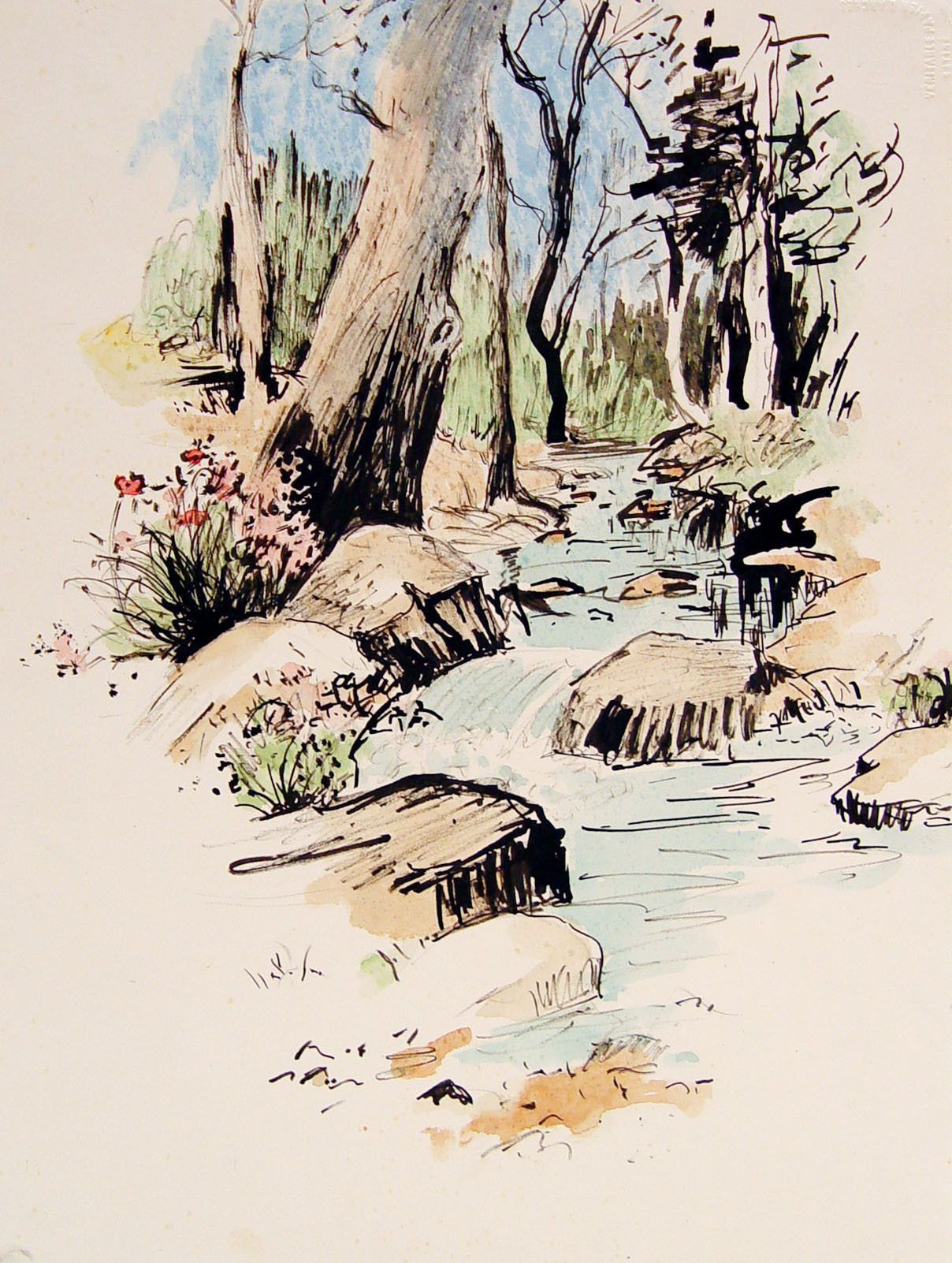 1208x1602 Pen And Ink With Watercolor Wash Of A Forest Stream, Circa 1970
