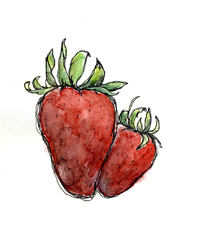 396x500 Strawberries Pen And Ink With Watercolor Illustration