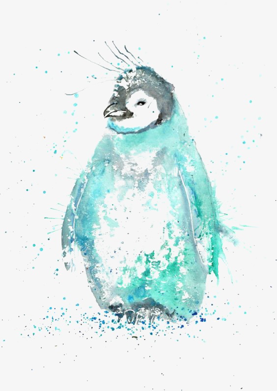 564x797 Penguin, Hand Drawn Penguin, Watercolor Penguin, Inkjet Penguin