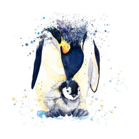 473x473 Penguin T Shirt Graphics. Penguin Illustration With Splash