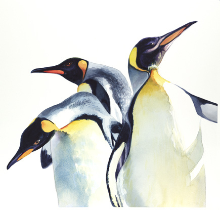 435x415 Penguin Trio Wildlife Watercolor, Paul Jackson This