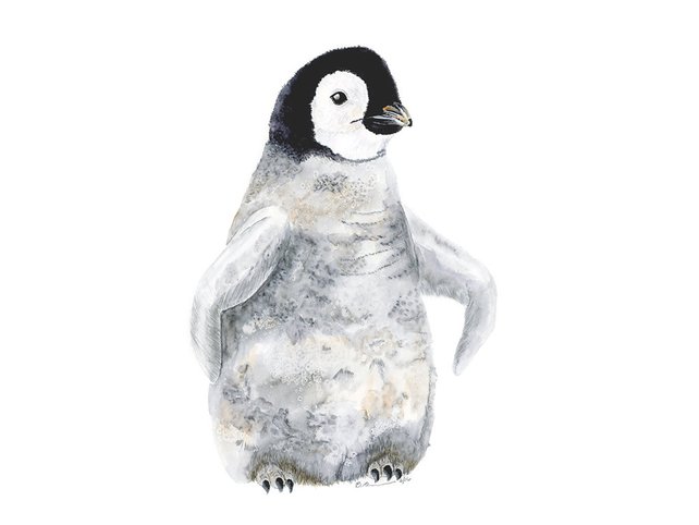 642x482 Baby Penguin Watercolor Arctic Nursery Art Baby Animal Etsy