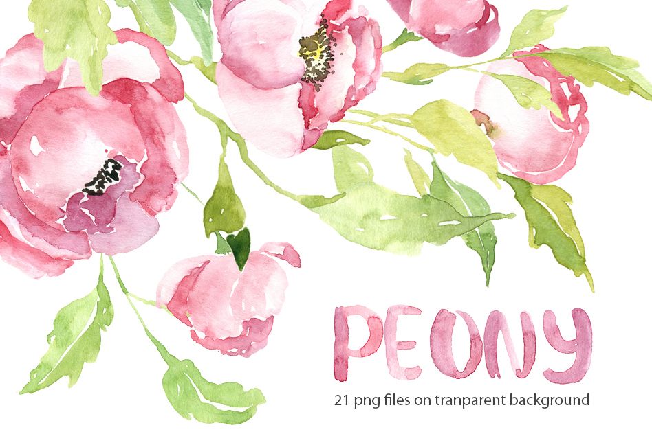 948x632 Pink Watercolor Peony Png Collection