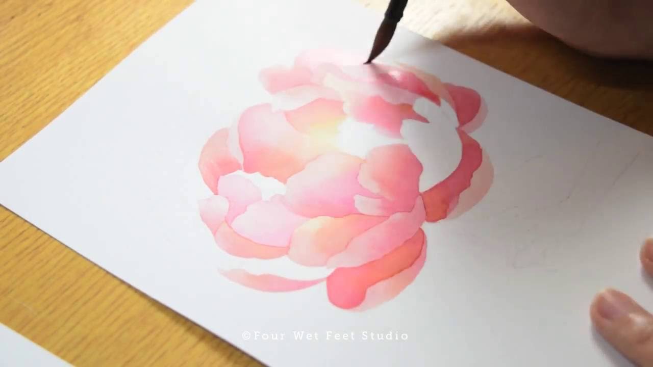 1280x720 Watercolor Peony Painting Process
