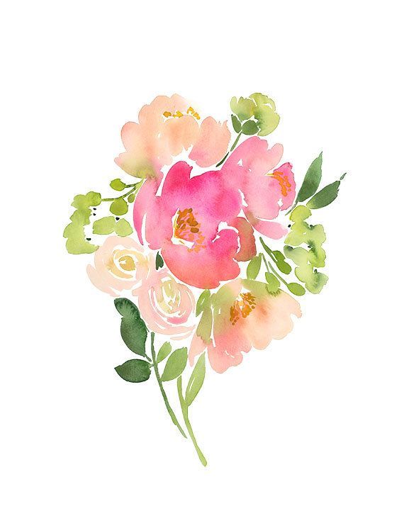 570x738 Peonies Watercolor