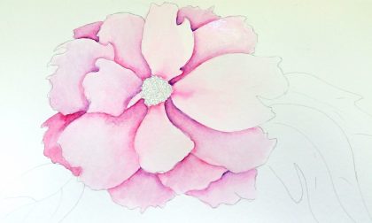 420x252 How To Paint A Peony In Watercolor Ashleypicanco