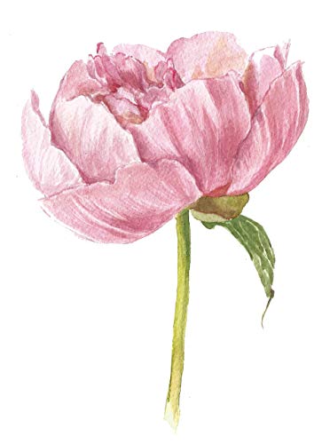 363x500 Botanical Art Print (8x10)