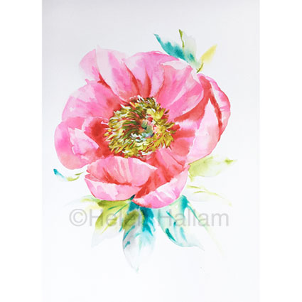 425x425 Original Watercolour Painting By Helen Hallam