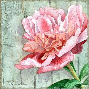 300x300 Peony Watercolor Paintings Fine Art America