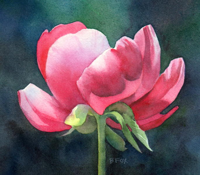 685x600 Barbara Fox Art Studio Tree Peonies