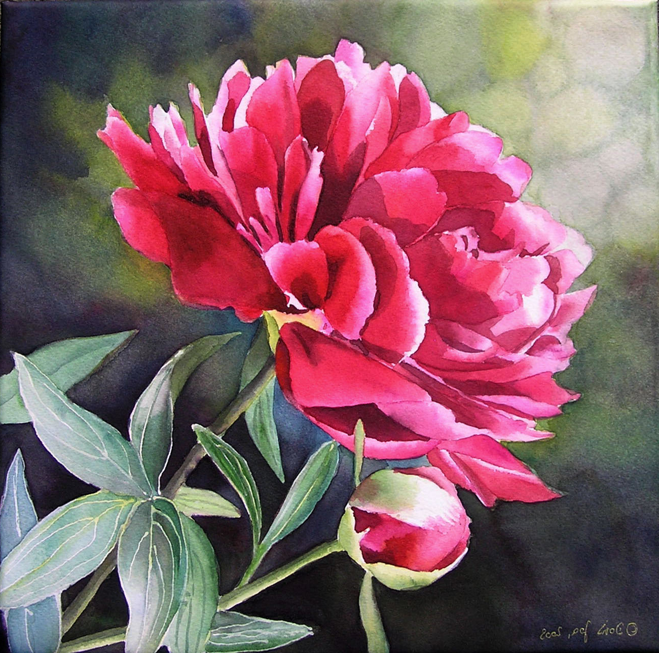 1300x1288 Water Color Paintings Of Flowers Flower Painting Peony