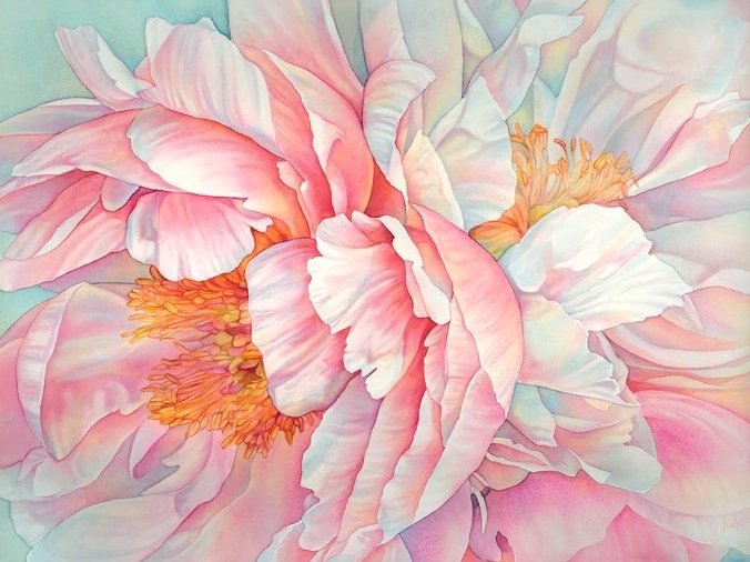 676x506 Watercolor Peonies Tracy Lewis Art Studio