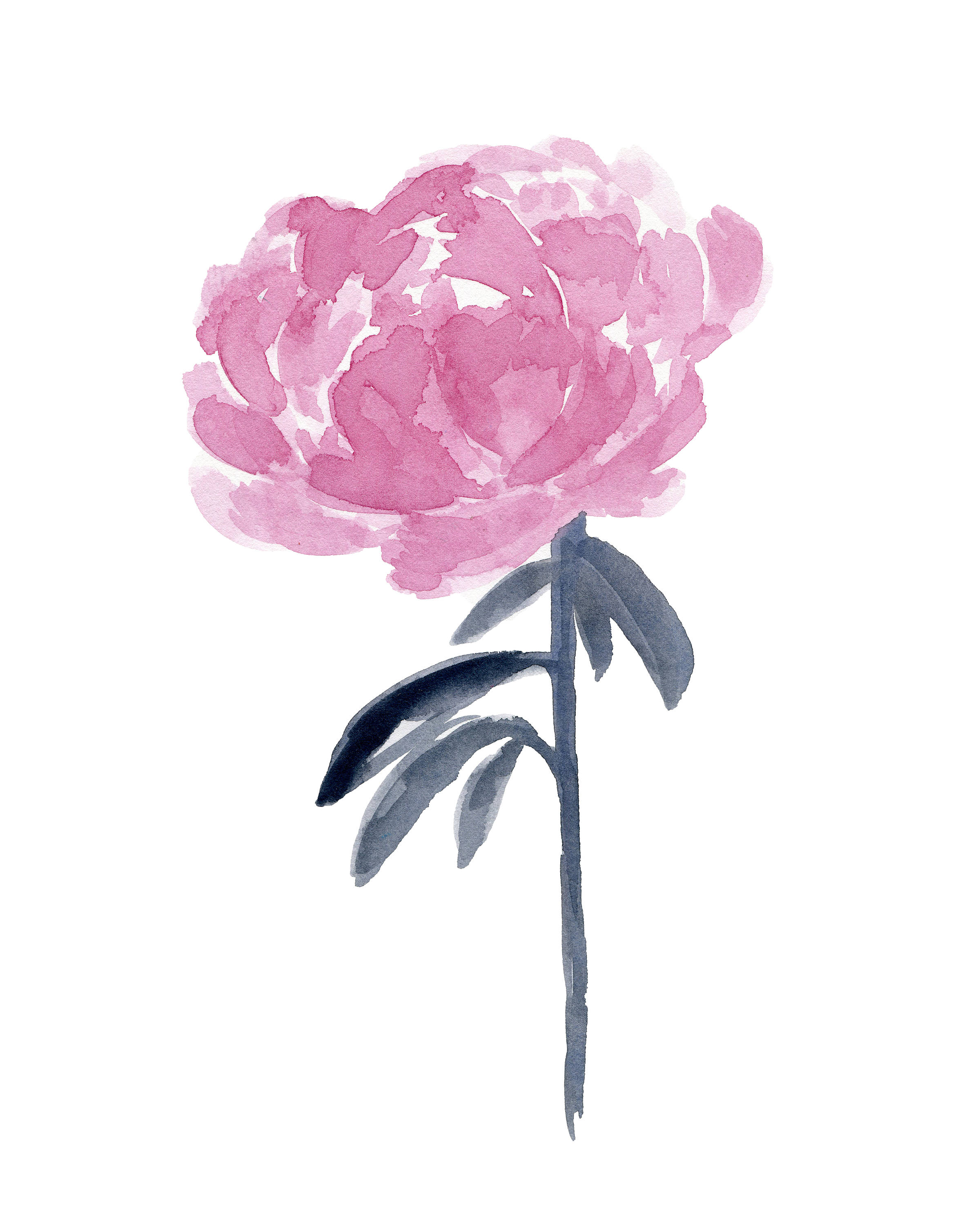 2400x3000 Blue And Pink Peony Flowers Set, 6 Abstract Peonies Watercolor