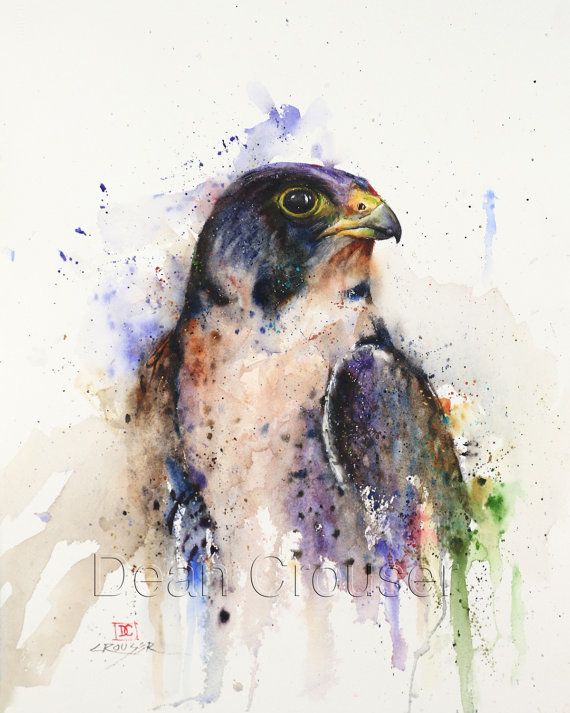 570x713 Peregrine Falcon Watercolor Print By Dean Crouser Tattoos