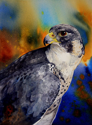 364x495 Peregrine Falcon Bird Art By Bird Artist Kitty Harvill