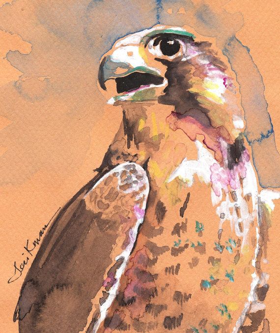 570x676 Peregrine Falcon Watercolor Print, Artist Signed Birds