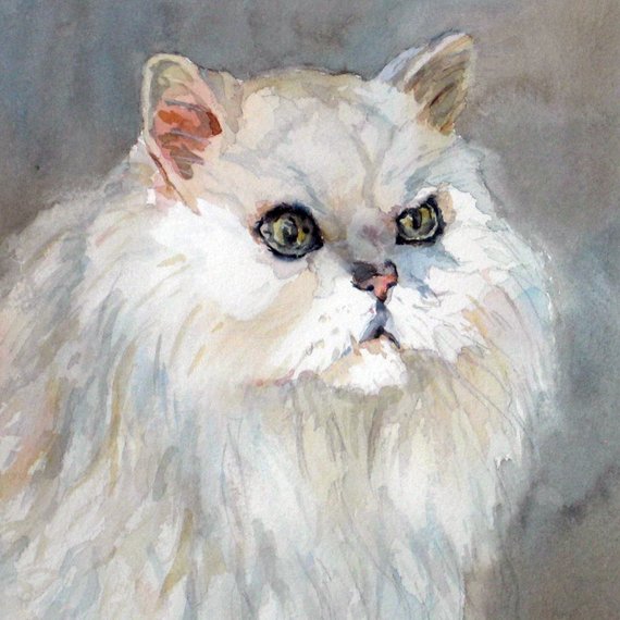 570x570 Persian Cat Printpersian Cat Watercolorpair Of Cats Etsy