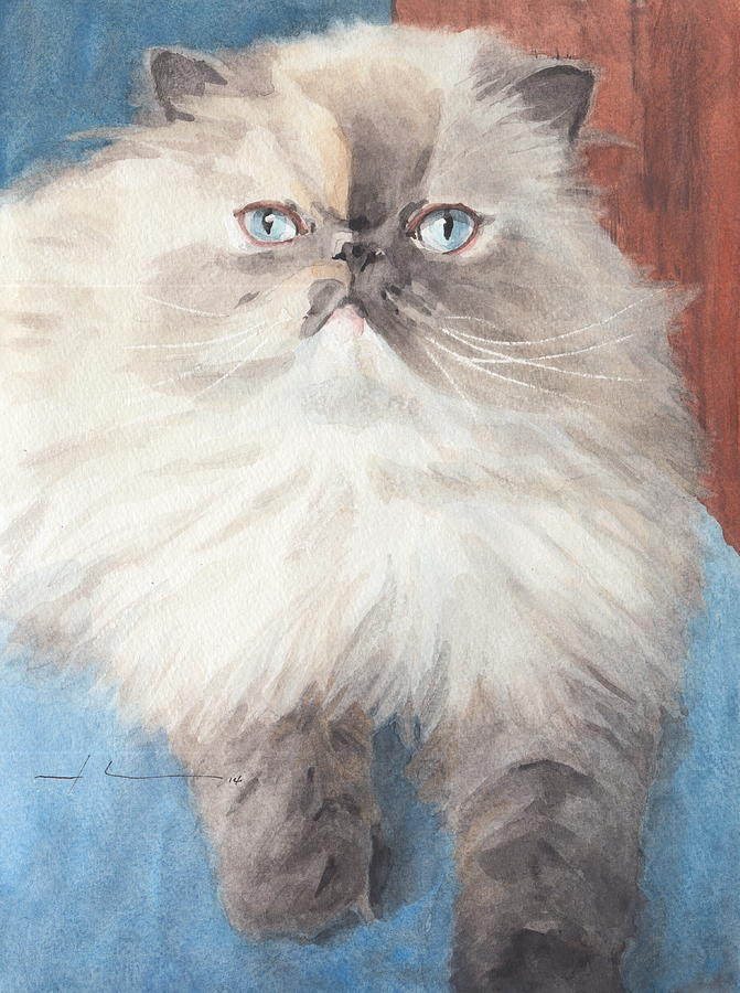 671x900 Persian Cat Watercolor Drawing By Mike Theuer