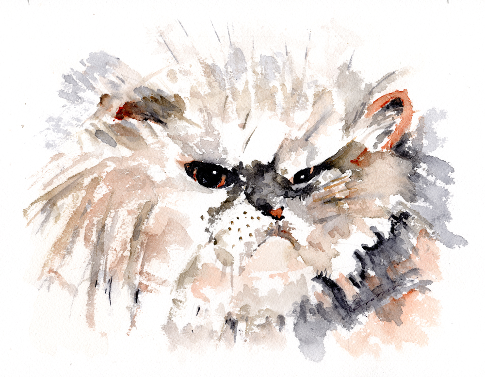 1000x777 Persian Cat Watercolor Painting