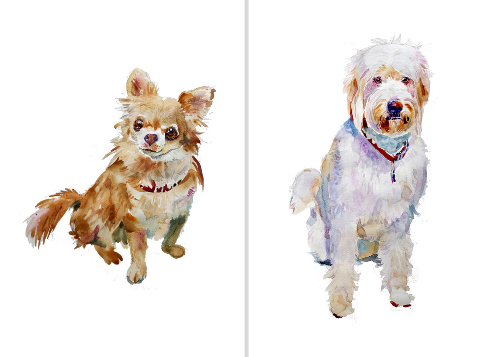 1000x727 Custom Watercolor Pet Portraits And Dog Illustrations