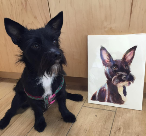 479x445 Custom Watercolor Pet Portraits Meganlynnkott
