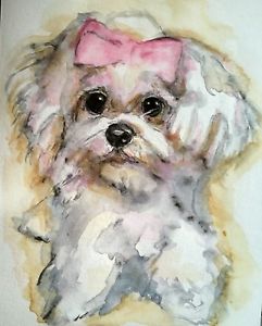 241x300 Dog Art,original Watercolor Painting On Paper,maltese Puppy,pet
