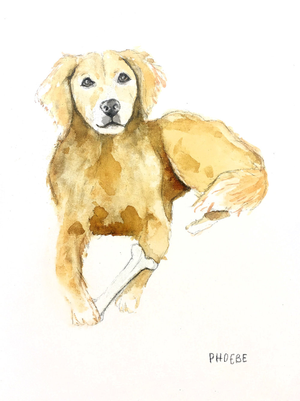 1000x1336 Dog Custom Watercolor Pet Portrait Ladyfolk Studio