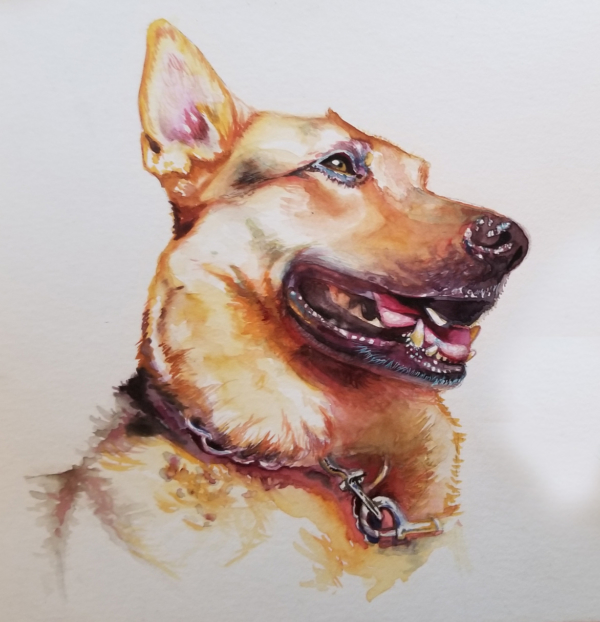600x622 Gage Academy Of Art Seattle, Wa Pet Portraits In Watercolor
