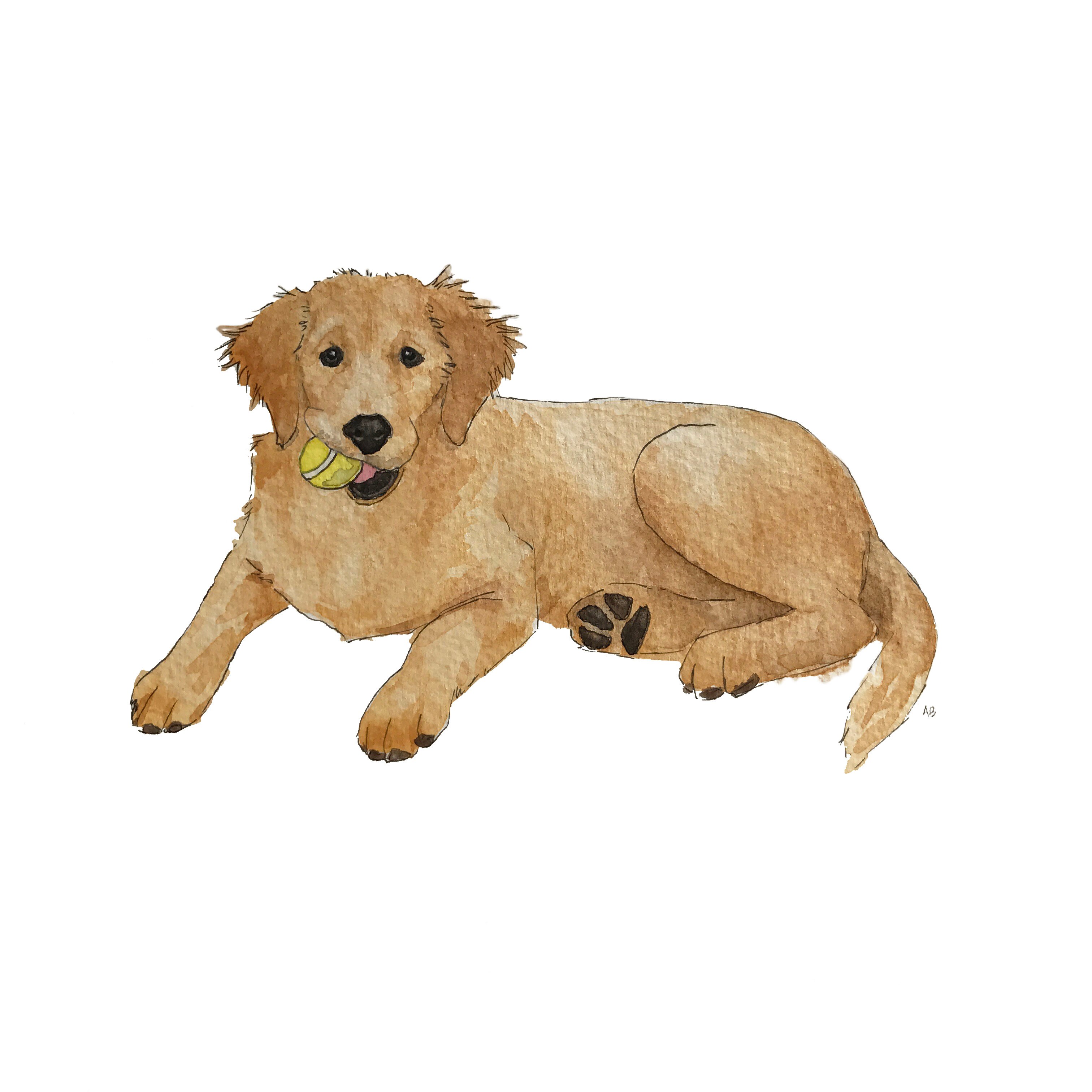 3024x3024 Original Custom Watercolor Painting Pet Abe Design Co.