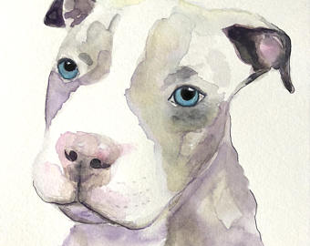 340x270 Pet Watercolor Etsy