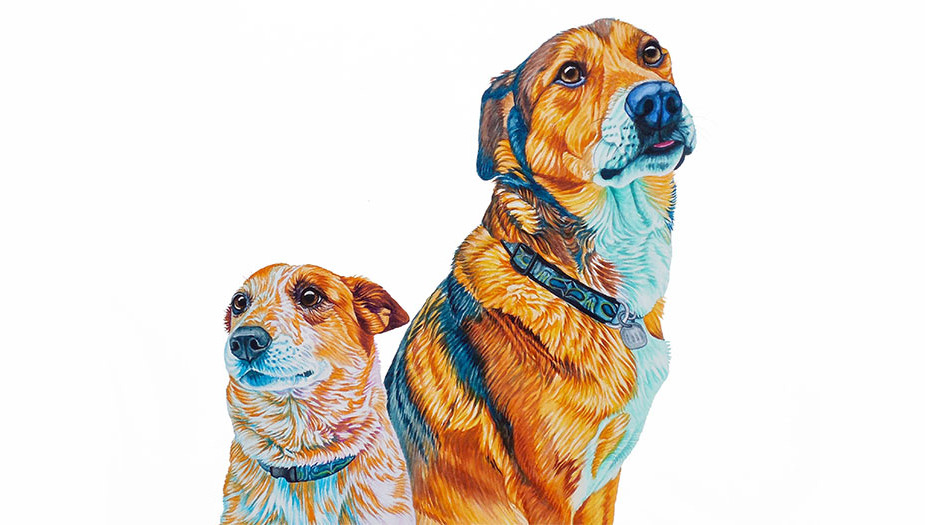925x525 Susanna Patterson Custom Watercolor Pet Portraits