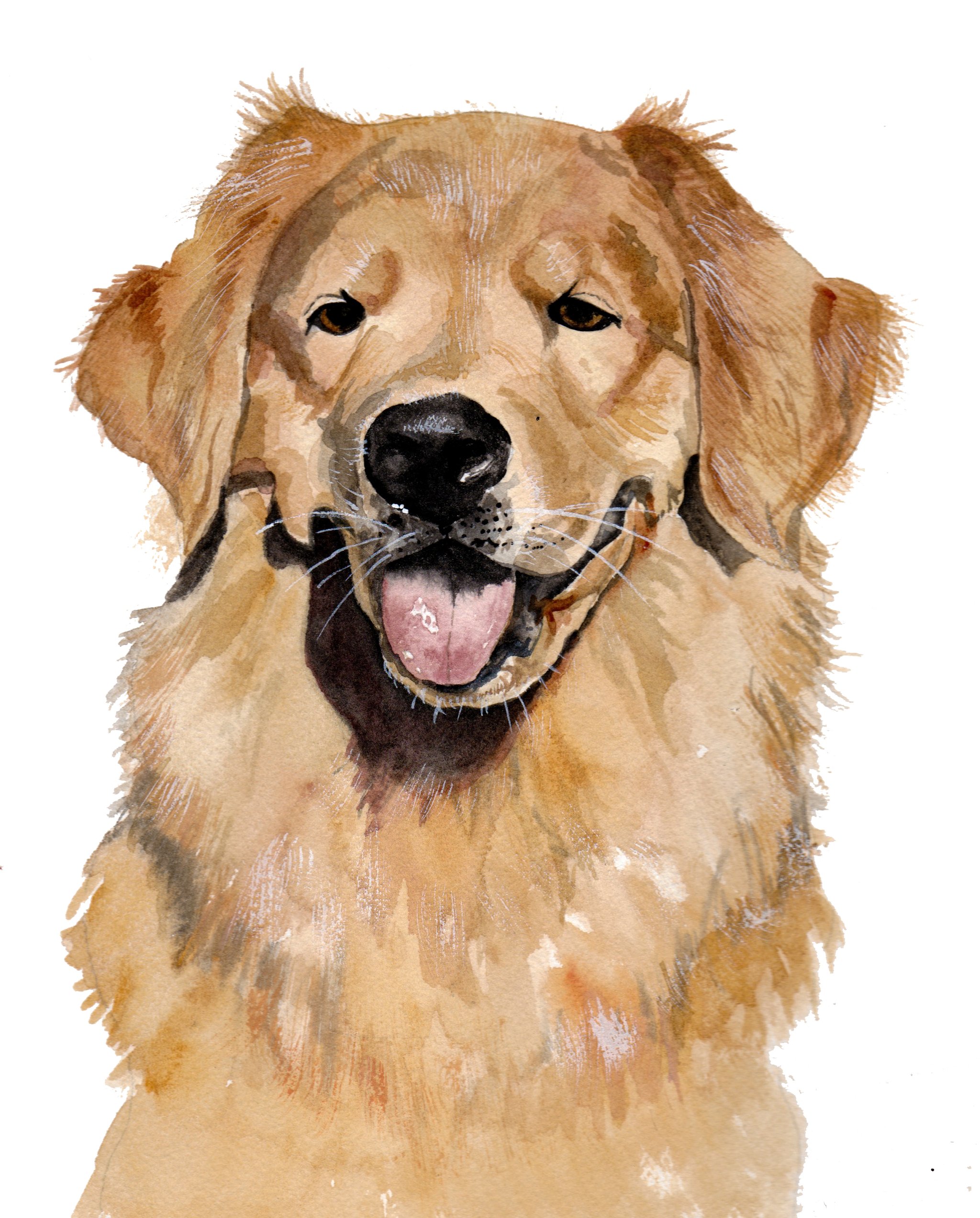 2048x2545 Custom Watercolor Pet Portrait