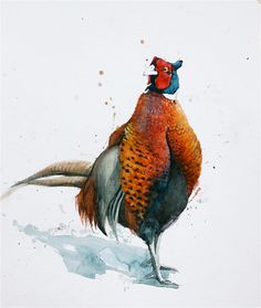 236x279 Watercolour Pheasant Game Bird ,animal Art, Wildlife Print By