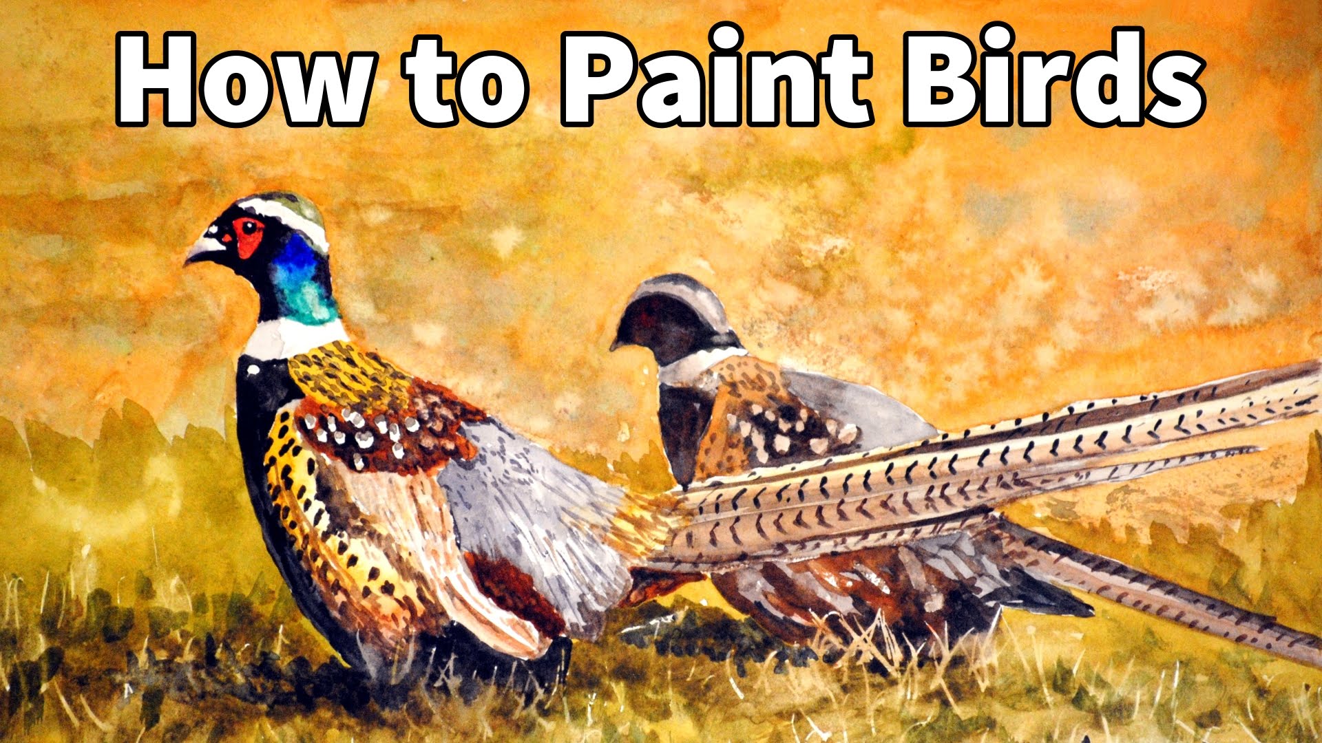 1920x1080 How To Paint Birds In Watercolor Pheasants Time Lapse Painting