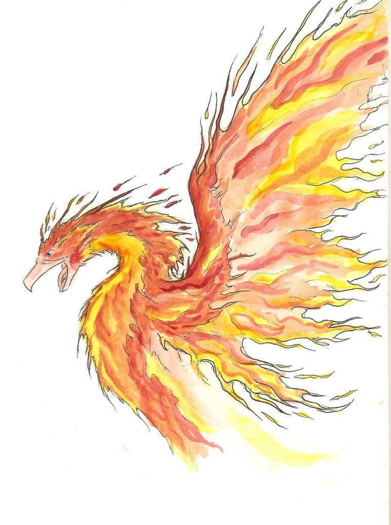 772x1035 Phoenix In Watercolor By Reizezdewickid