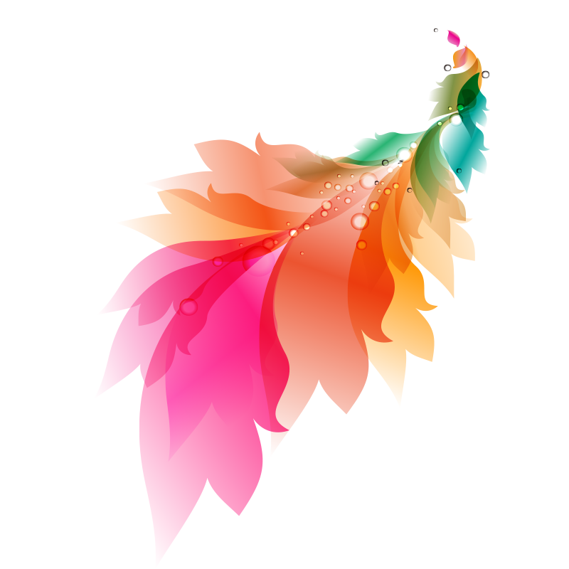 800x800 Watercolor Painting Feather