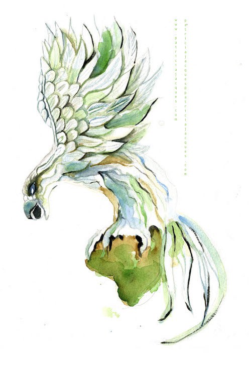 496x749 Map Icons Phoenix Patricia Jacques Dreaming Into Being