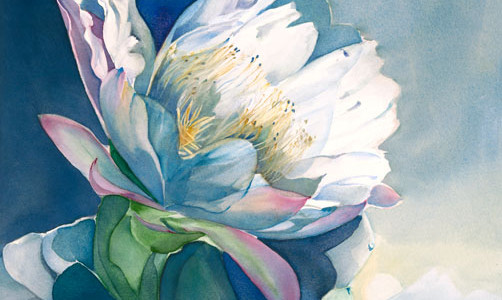 502x300 Watercolors Paintings Jeanne Bonine Watercolor Artist