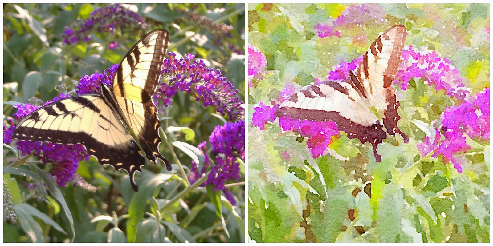 1600x800 House In The Heights App Crack Waterlogue