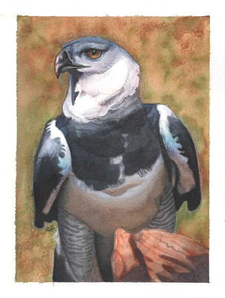 454x600 6x8 Photorealistic Watercolor