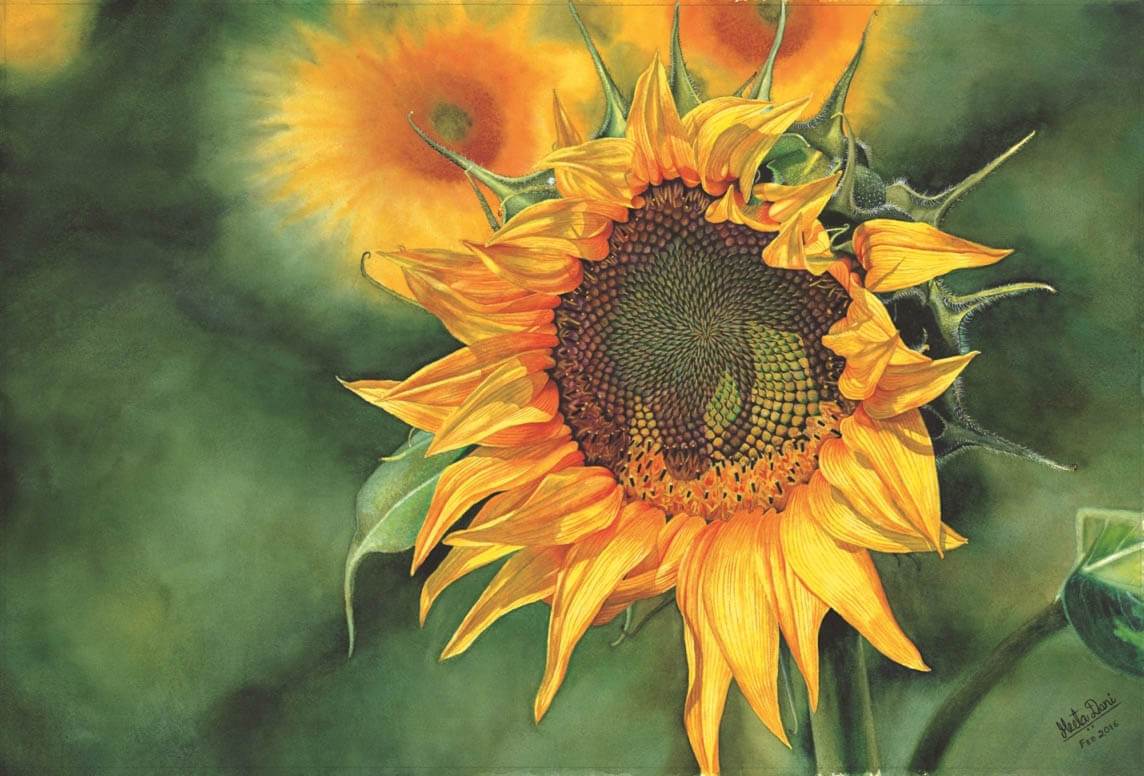 1144x776 ~ Guest Artist Photorealism In Watercolors By Meeta