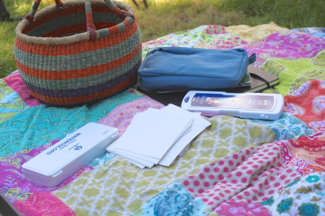 640x427 A Watercolor Picnic Liz Lamoreux